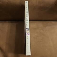うちの上司は見た目がいい 山崎ハルタ 漫画 コミックの画像
