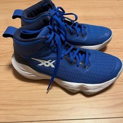 【お値下げ】ジュニア用バスケットシューズ 【25.0cm】の画像