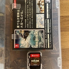  ゼルダの伝説 ティアーズ オブ ザ キングダムの画像