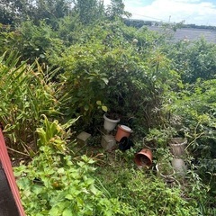 草の片付けを手伝ってもらえませんか？