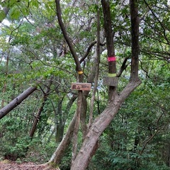 低山登山メンバー募集します⛰️