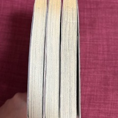 暴君ヴァーデルの花嫁　1〜3巻の画像