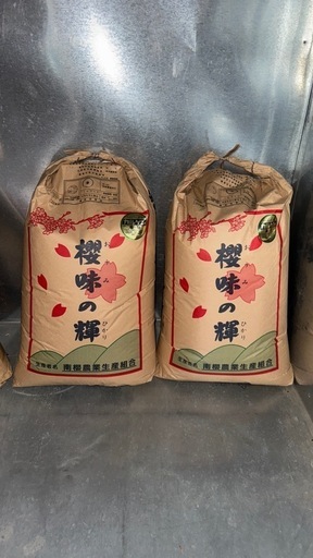 令和5年産近江米コシヒカリ玄米30kg