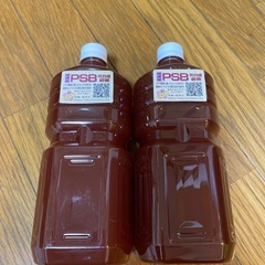 さらに、値下げしました。めだか　増やしてPSBセットの画像