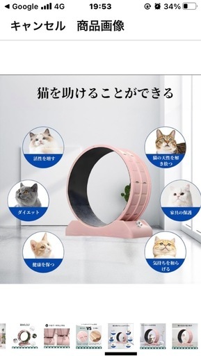 猫運動キャットランニングホイール