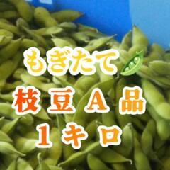 もぎたて枝豆A品1キロ