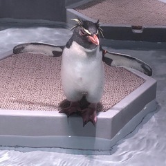精神疾患お話しましょ(^^)