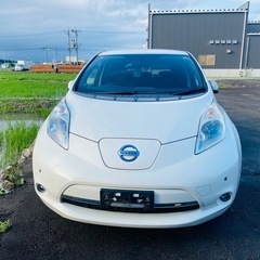 日産リーフ エレクトリック