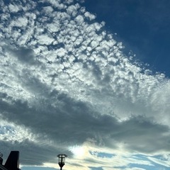 節約してやりたいこと叶えたい仲間大募集✨