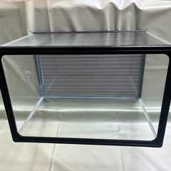水槽45センチ②の画像
