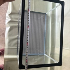 水槽45センチ②の画像