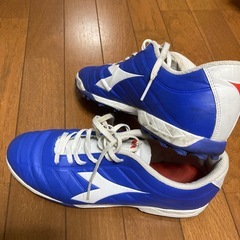 サッカー　　トレーニングシューズ
の画像