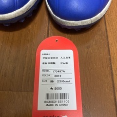 サッカー　　トレーニングシューズ
の画像