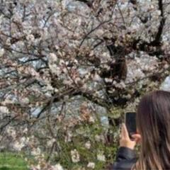 現場の写真をスマホで撮影して下さる方を探しております。