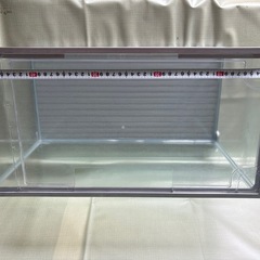 水槽50センチの画像