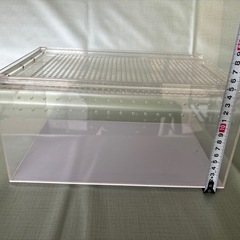 レプタイルBOX  ひびありの画像