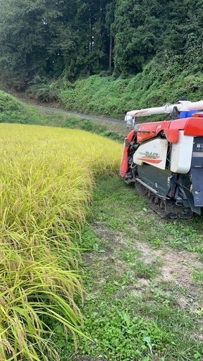 玄米30kg（コシヒカリ）