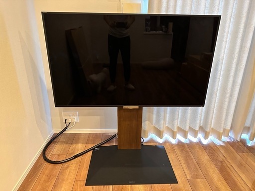 SONY 55V + equalsテレビラック