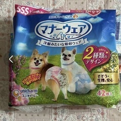 犬用オムツ
