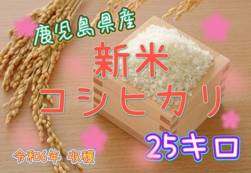 ?ྀི新米コシヒカリ?ྀི数量限定?ྀི1️⃣5️⃣
