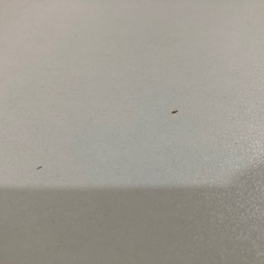 ローテーブル無料でお譲りしますの画像