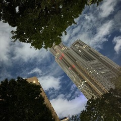 週末夜の定番　ナイトピクニック　新宿