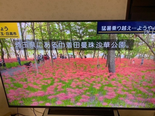 TOSHIBA テレビ5.5インチ