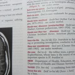 DORLAND'S 医学辞書 31stの画像