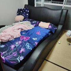 ベット