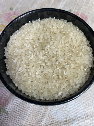 魚沼産コシヒカリ新米