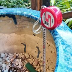 大きめの火鉢です。再利用してください。の画像