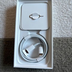 iPhone 12 mini グリーン256 GB