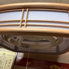⭐︎新品⭐︎蛍光灯2個
の画像
