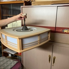 ⭐︎新品⭐︎蛍光灯2個
の画像