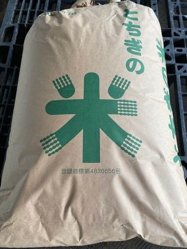 新米 令和6年産コシヒカリ