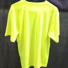 Tシャツ Lサイズの画像