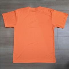 Tシャツ Lサイズの画像