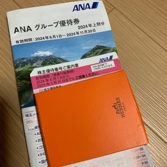 ANAチケット