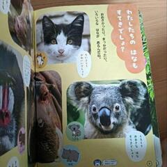 24冊　10月8処分　絵本　保育園　幼稚園　知育えほんの画像