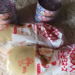 マヨネーズ２袋とシーチキン6缶