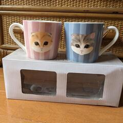新品未使用マグセット(=^・^=)