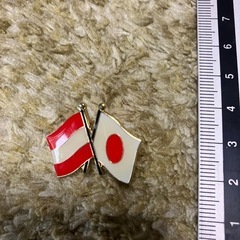 契約中　ね　ピンバッジ　レトロ