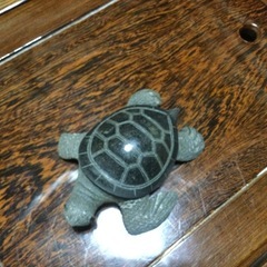 石の亀の画像
