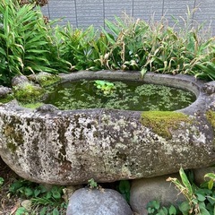 水盤