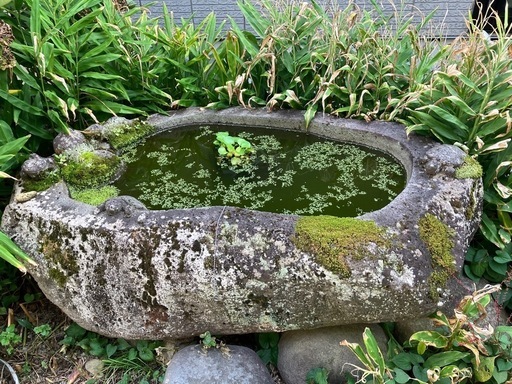 水盤