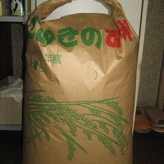 新米　コシヒカリ　30kg　玄米　減農薬　有機堆肥　2024