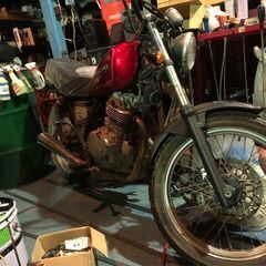 ススギ　グラストラッカー