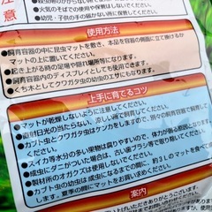 昆虫の遊場くち木 の画像