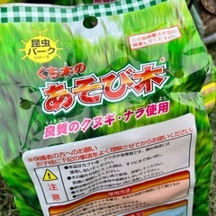 昆虫の遊場くち木 の画像