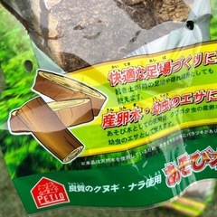 昆虫の遊場くち木 の画像